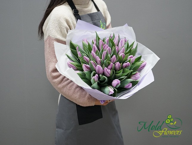 Тюльпан лавандового цвета голландский (Под заказ 10 дней ) Фото